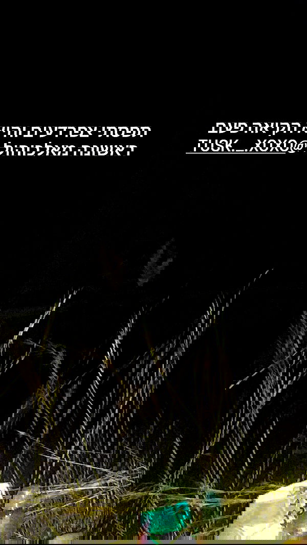 moonyyyya moonyyyya archive image