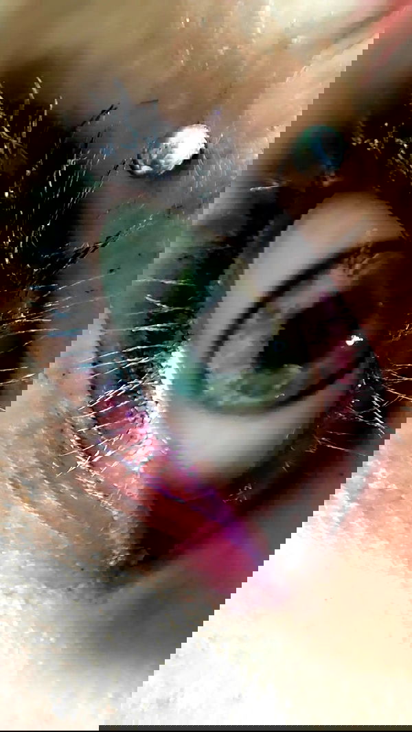 moonyyyya moonyyyya archive image