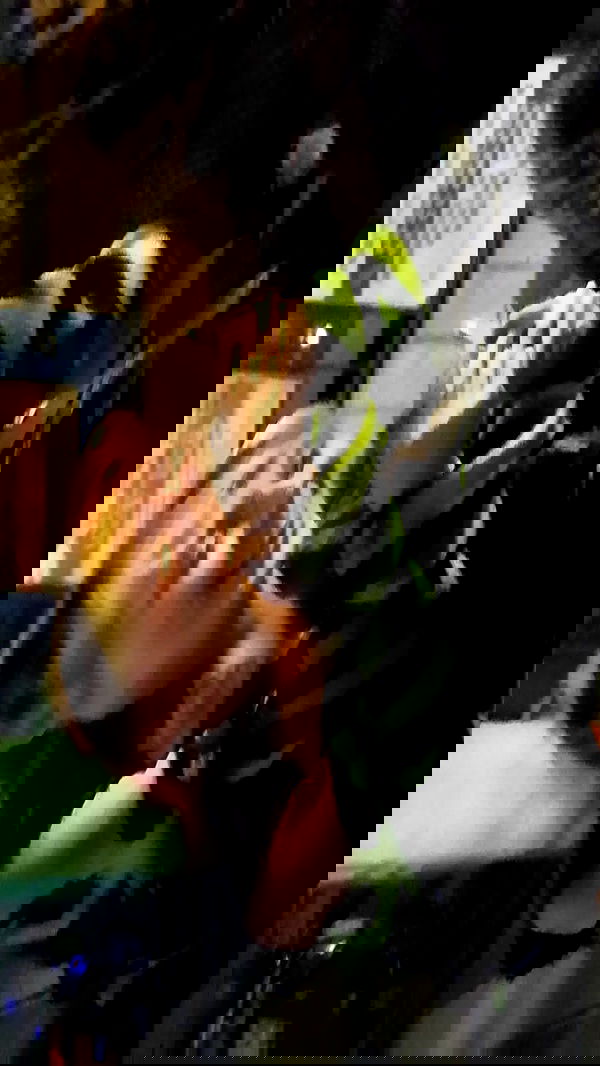 moonyyyya moonyyyya archive image