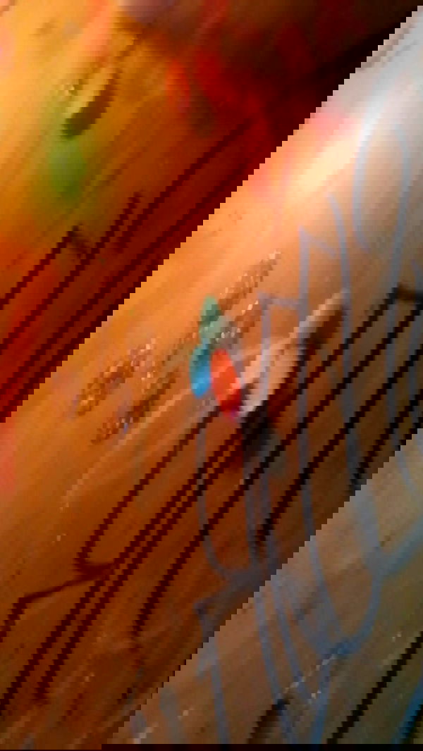 moonyyyya moonyyyya archive image