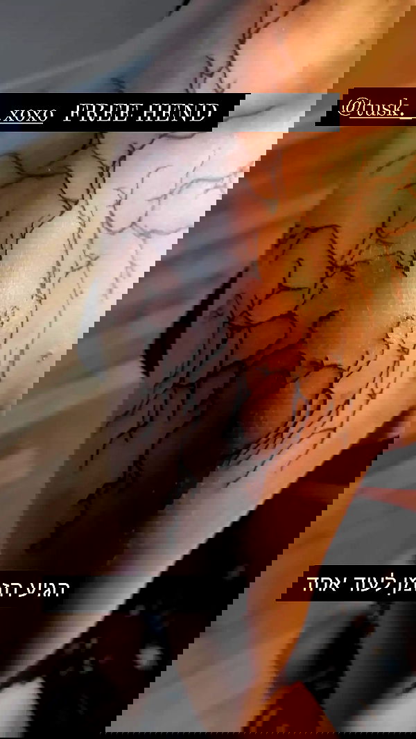 moonyyyya moonyyyya archive image