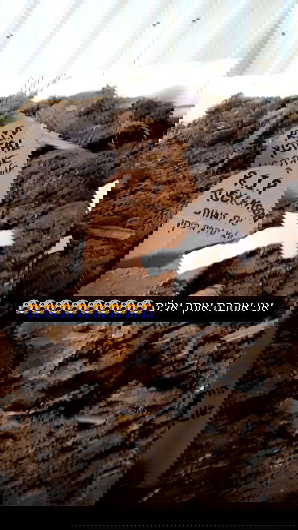 moonyyyya moonyyyya archive image