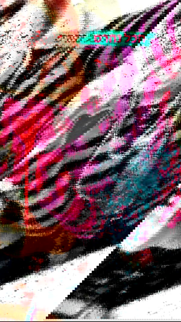 moonyyyya moonyyyya archive image