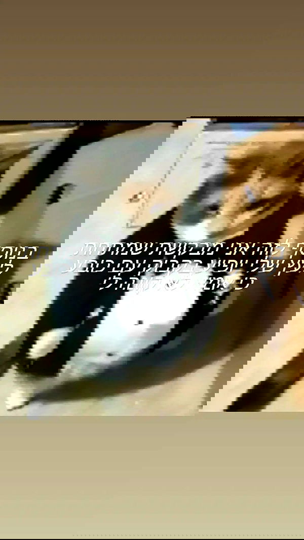 moonyyyya moonyyyya archive image