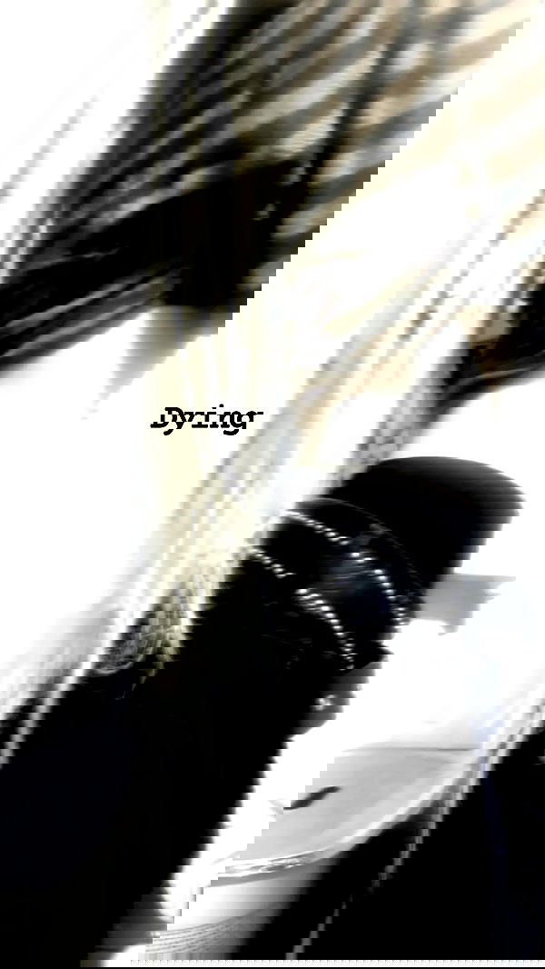 moonyyyya moonyyyya archive image