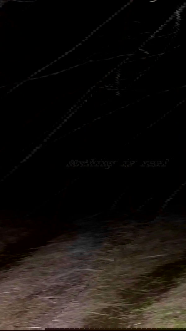 moonyyyya moonyyyya archive image