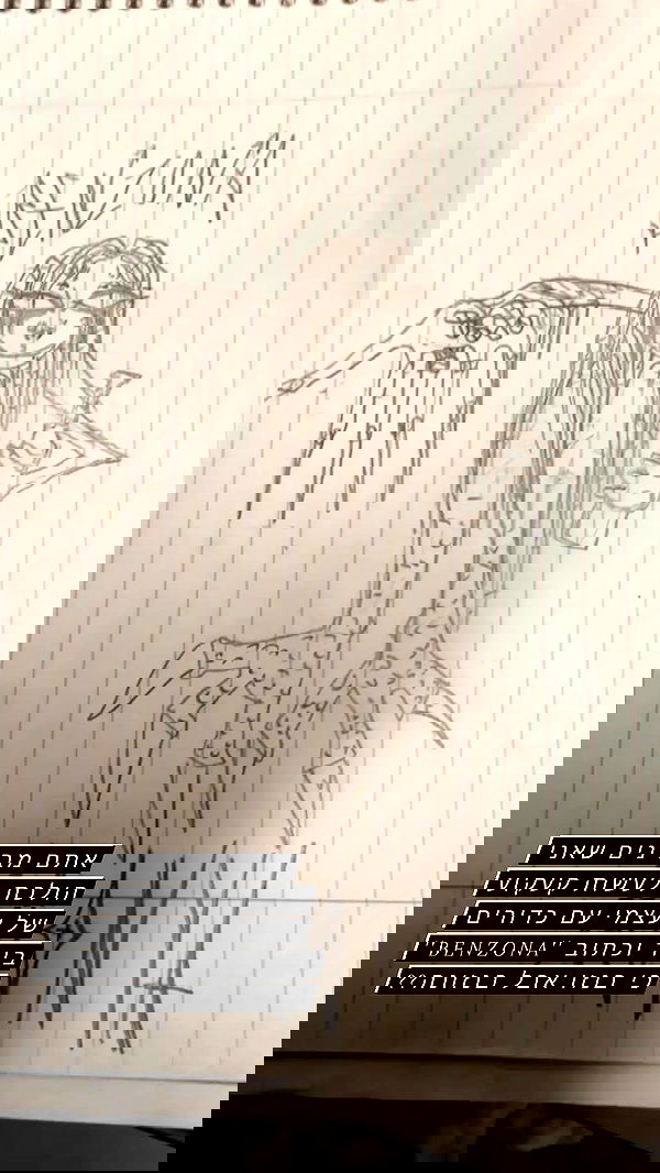 moonyyyya moonyyyya archive image