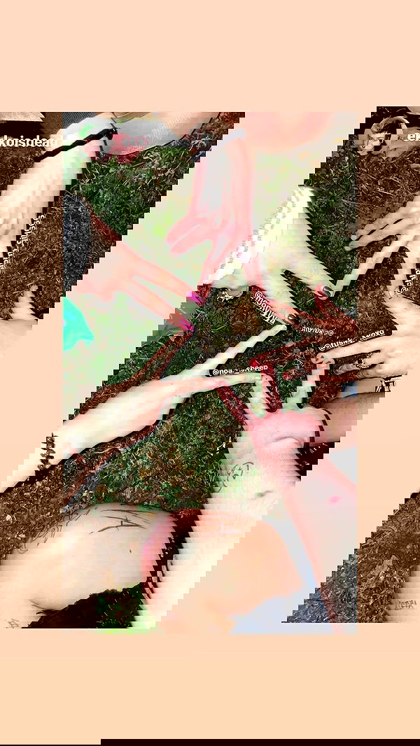 moonyyyya moonyyyya archive image