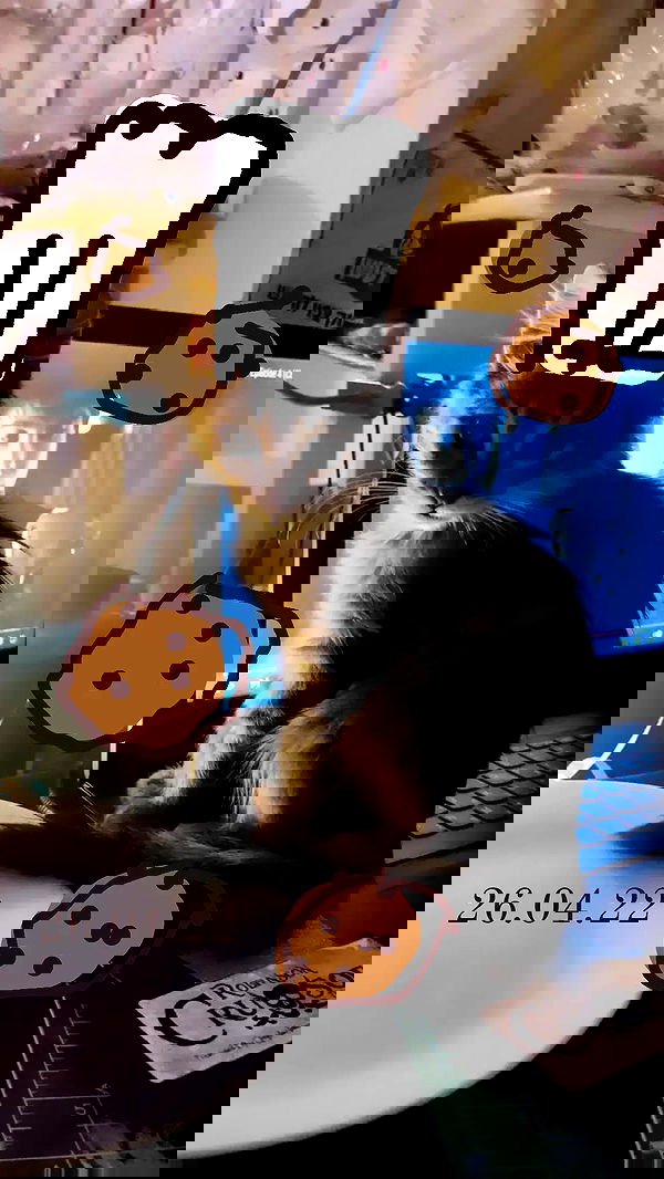 moonyyyya moonyyyya archive image