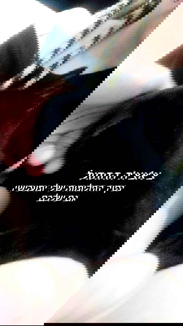 moonyyyya moonyyyya archive image