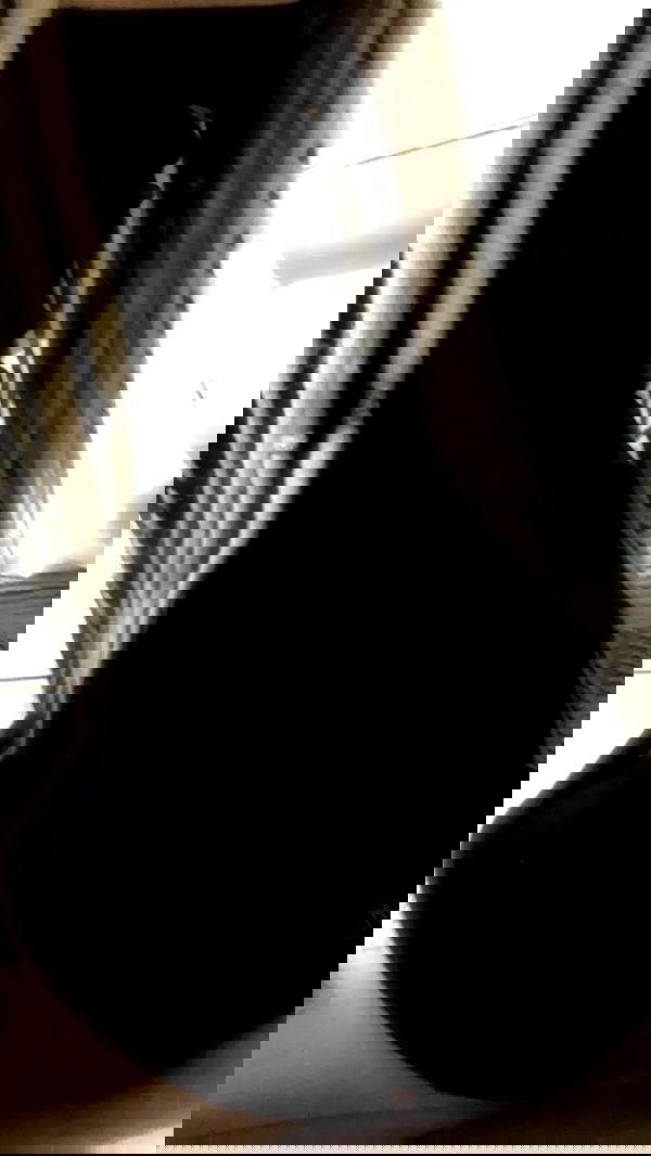 moonyyyya moonyyyya archive image