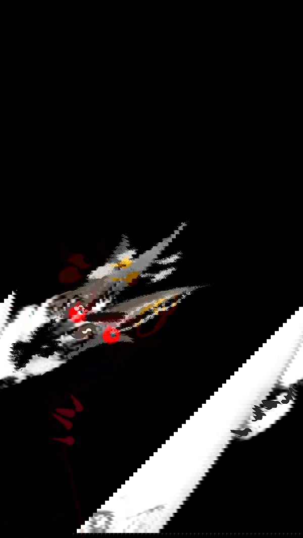 moonyyyya moonyyyya archive image