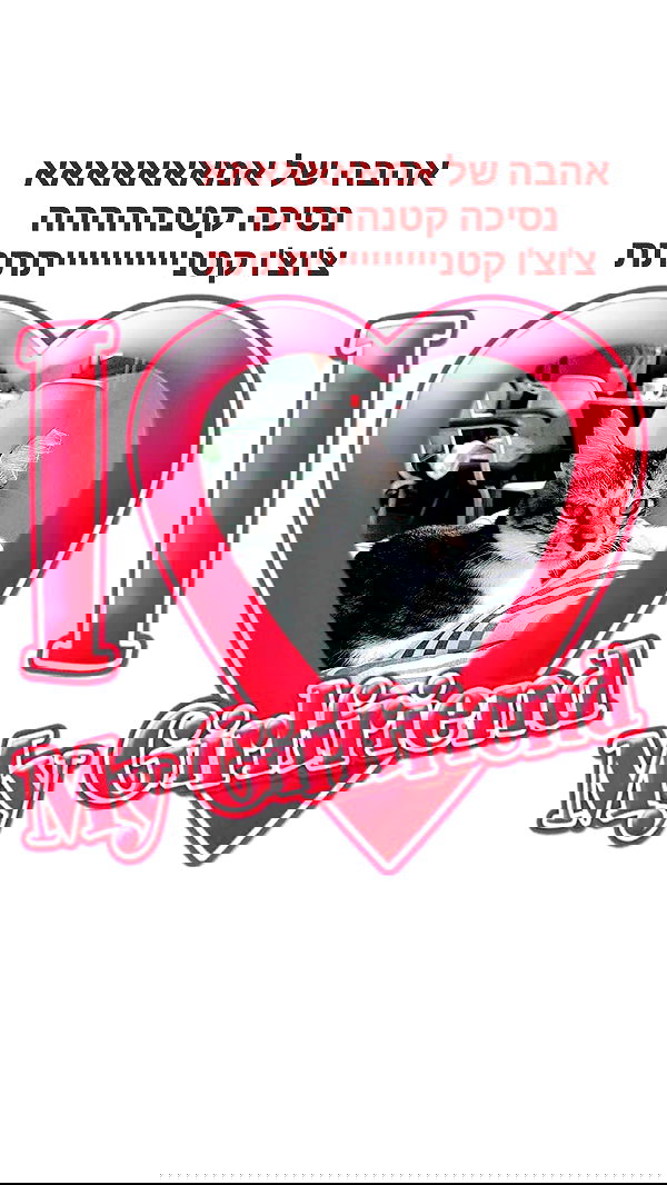 moonyyyya moonyyyya archive image