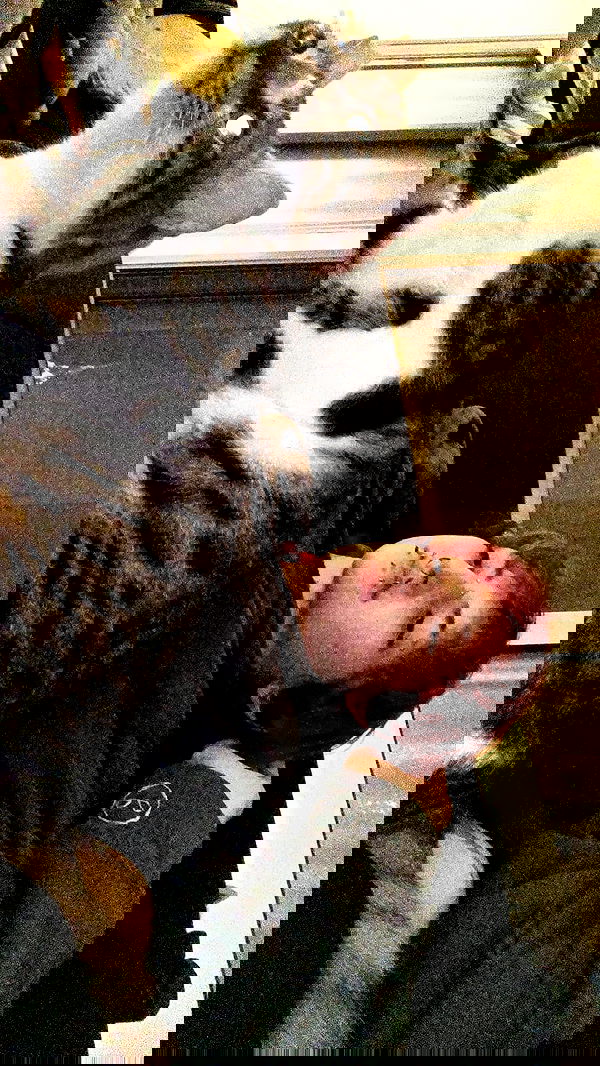 moonyyyya moonyyyya archive image