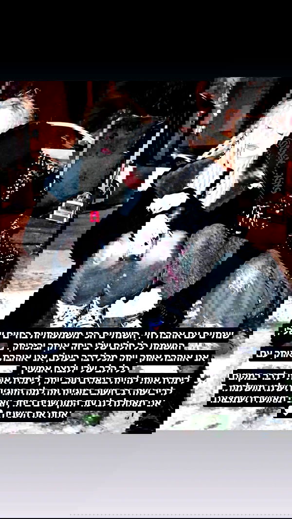 moonyyyya moonyyyya archive image