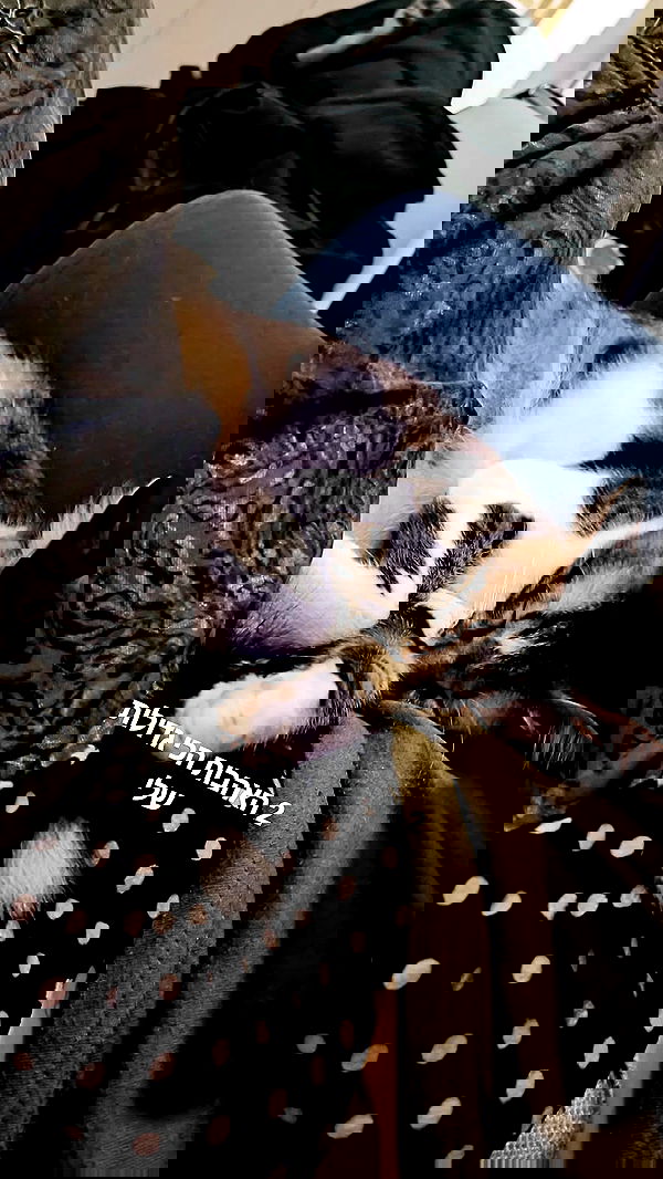 moonyyyya moonyyyya archive image