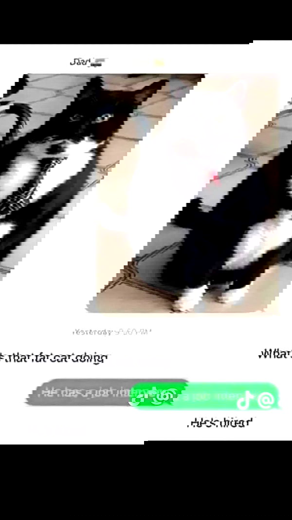 moonyyyya moonyyyya archive image