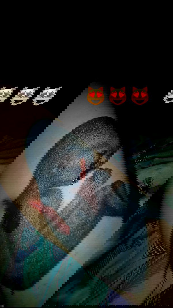 moonyyyya moonyyyya archive image