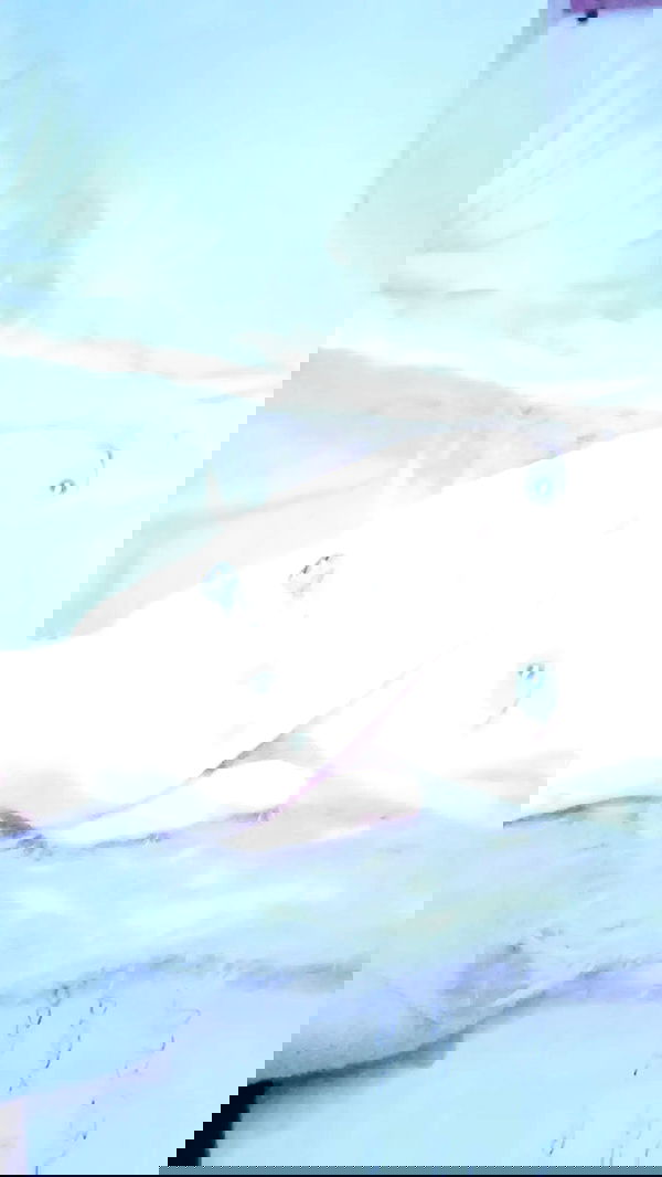 moonyyyya moonyyyya archive image