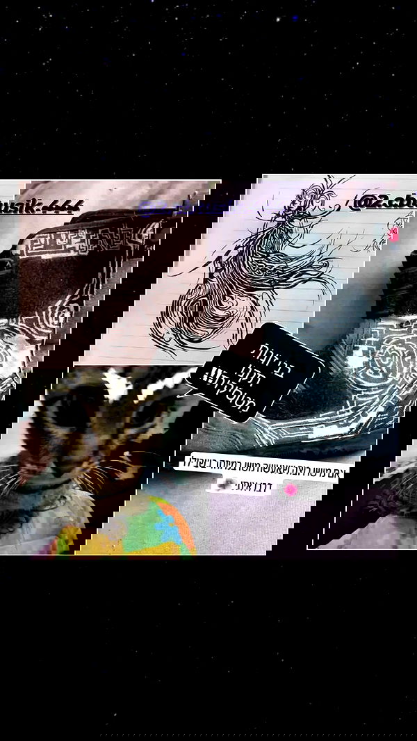 moonyyyya moonyyyya archive image