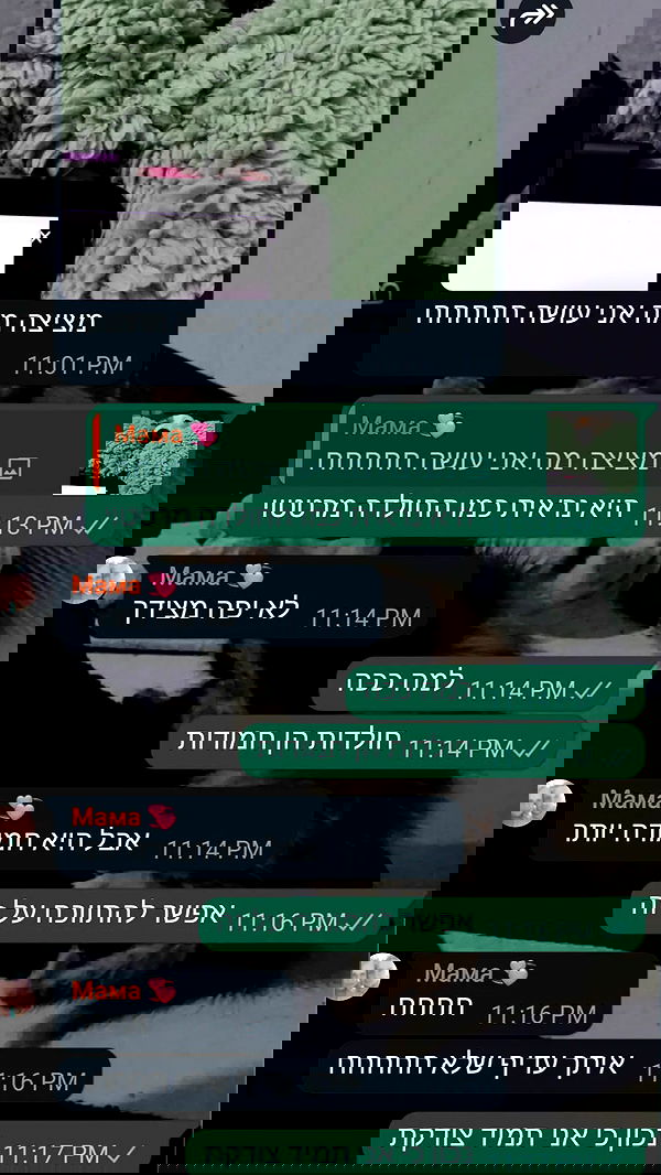 moonyyyya moonyyyya archive image