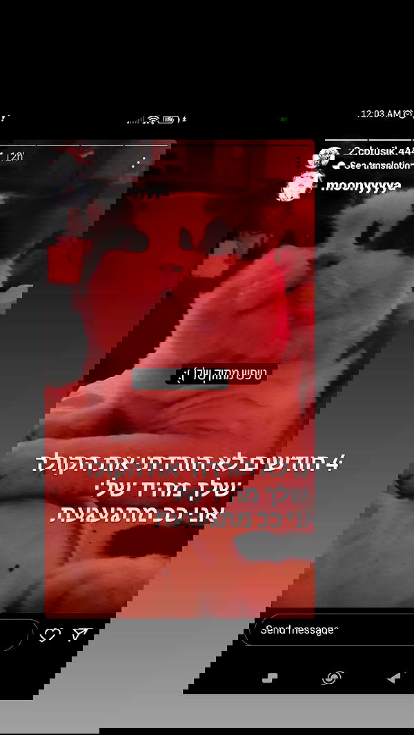 moonyyyya moonyyyya archive image