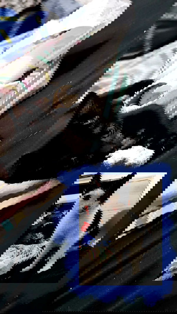 moonyyyya moonyyyya archive image