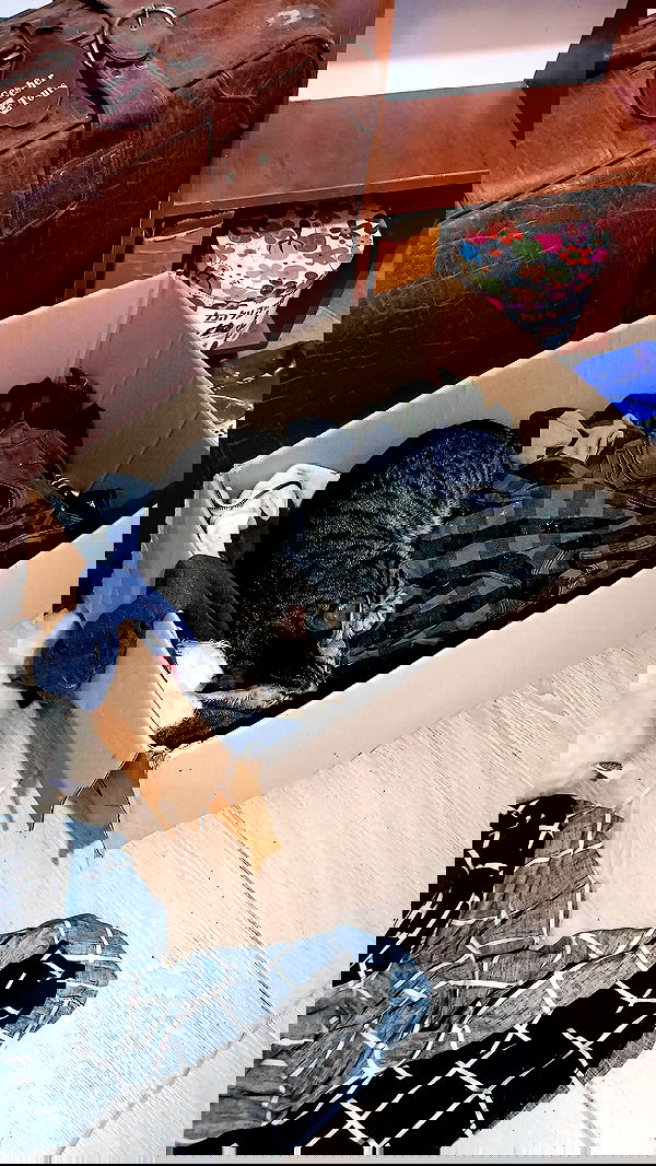 moonyyyya moonyyyya archive image