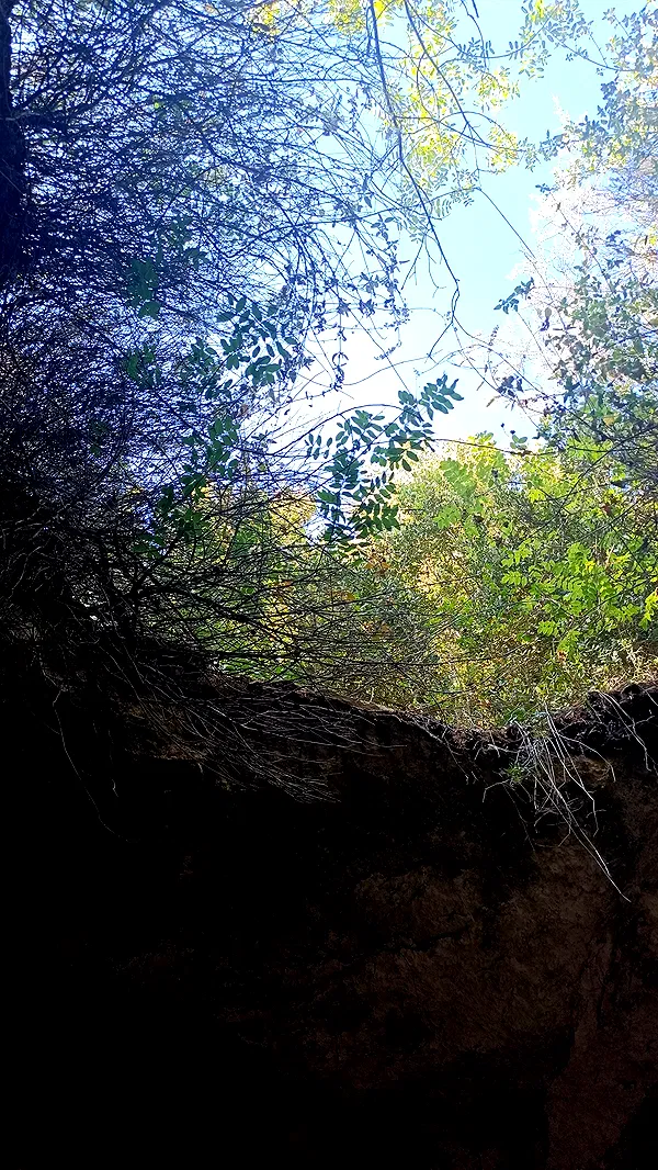 moonyyyya moonyyyya archive image