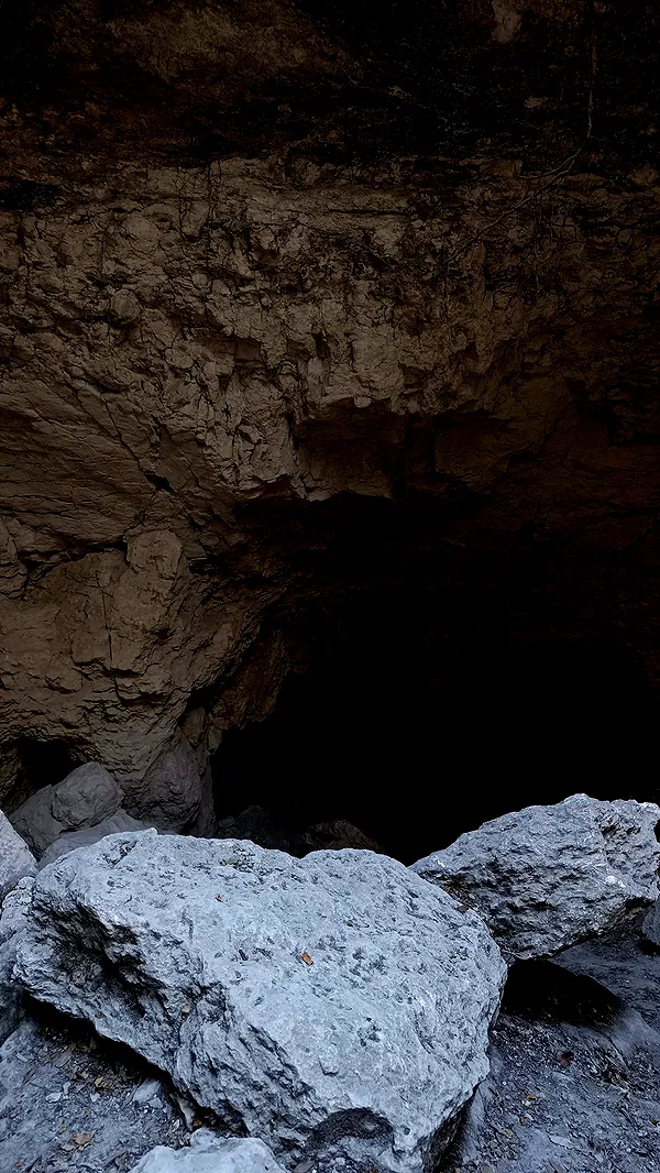 moonyyyya moonyyyya archive image