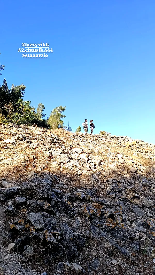 moonyyyya moonyyyya archive image