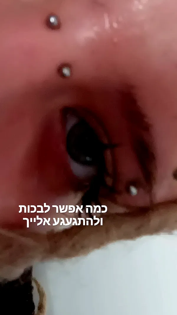 moonyyyya moonyyyya archive image