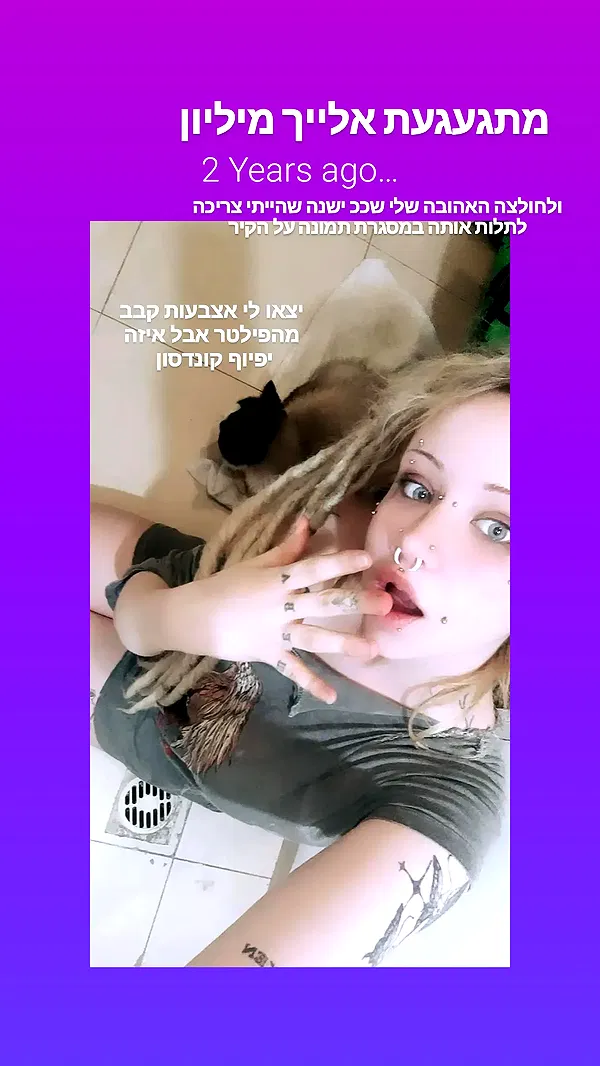 moonyyyya moonyyyya archive image