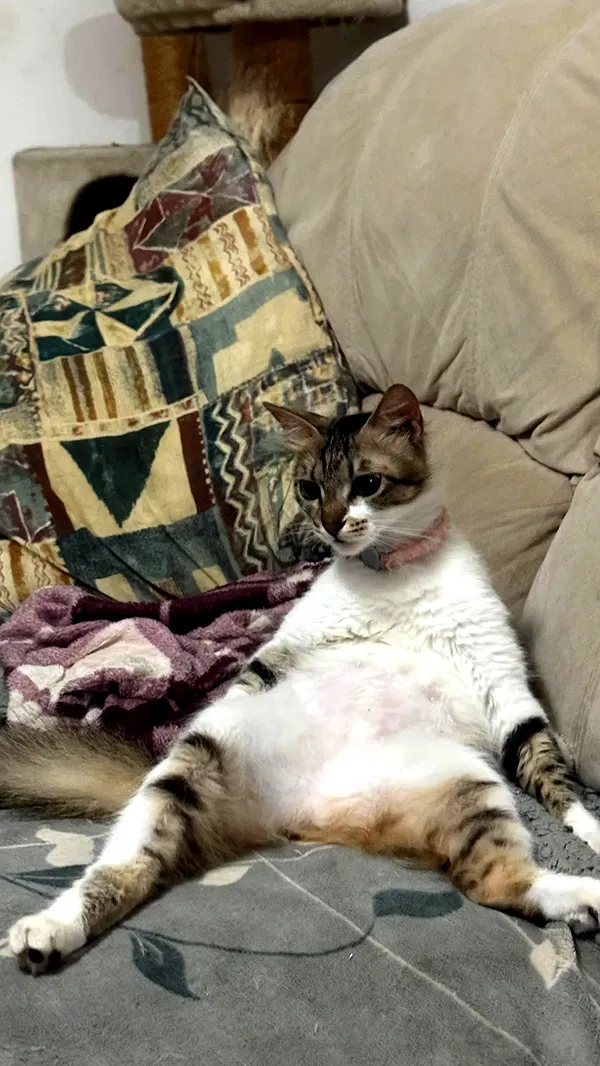 moonyyyya moonyyyya archive image