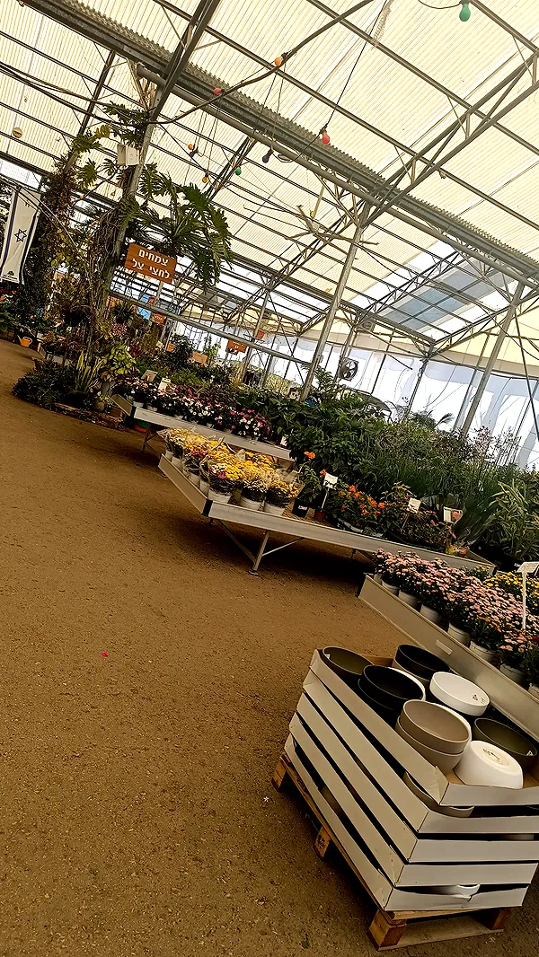 moonyyyya moonyyyya archive image