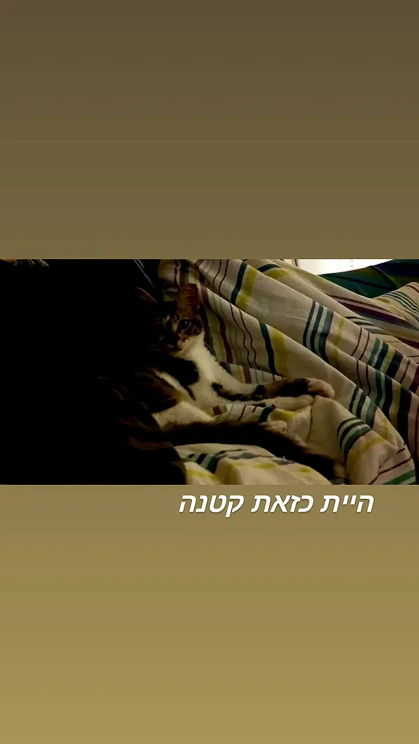 moonyyyya moonyyyya archive image