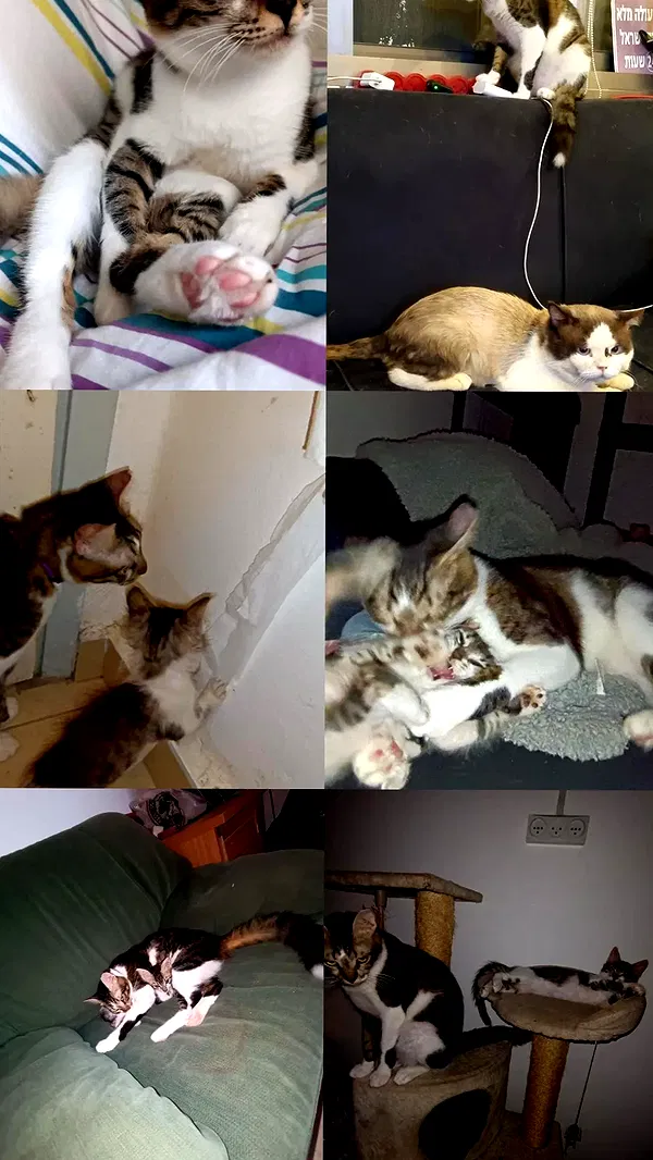 moonyyyya moonyyyya archive image