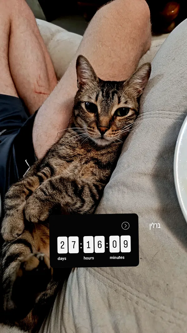 moonyyyya moonyyyya archive image