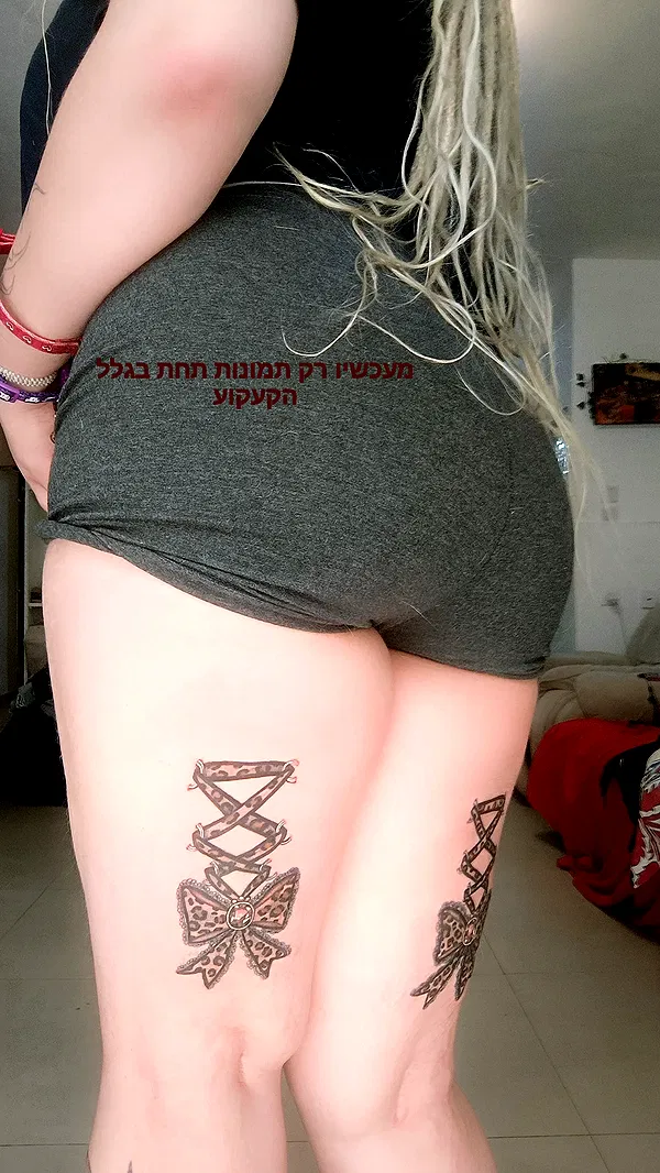 moonyyyya moonyyyya archive image