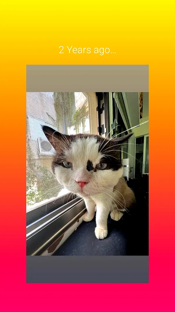 moonyyyya moonyyyya archive image