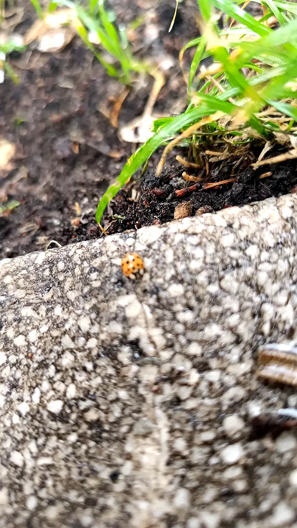 moonyyyya moonyyyya archive image