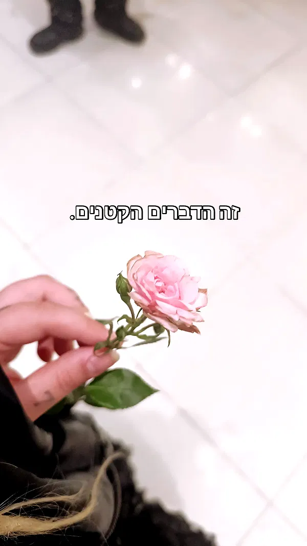 moonyyyya moonyyyya archive image