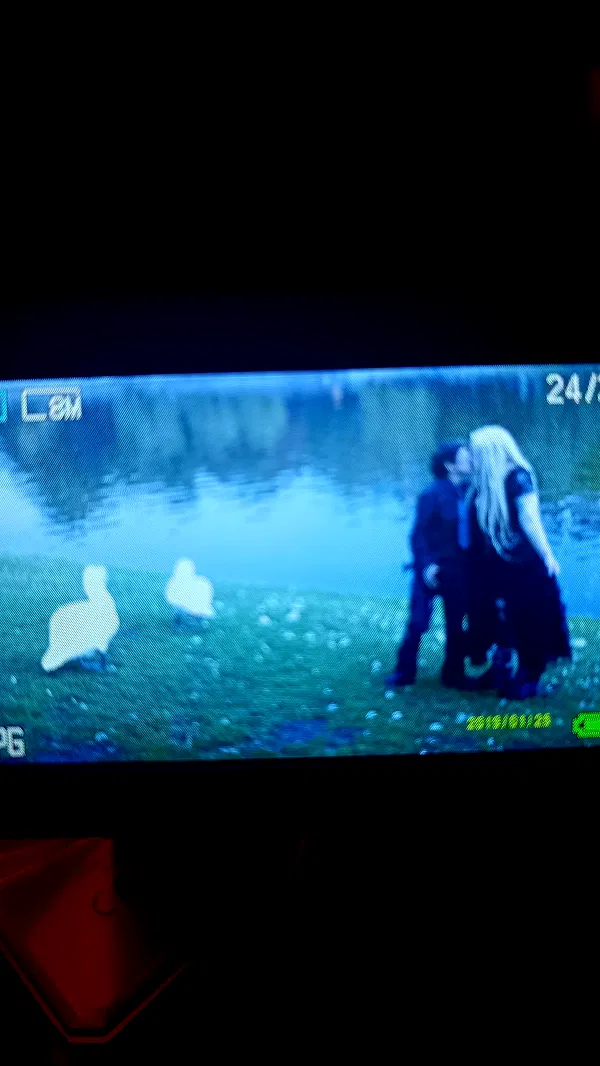 moonyyyya moonyyyya archive image