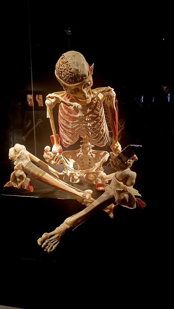 moonyyyya moonyyyya archive image