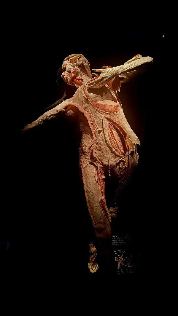 moonyyyya moonyyyya archive image