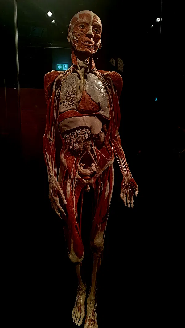 moonyyyya moonyyyya archive image