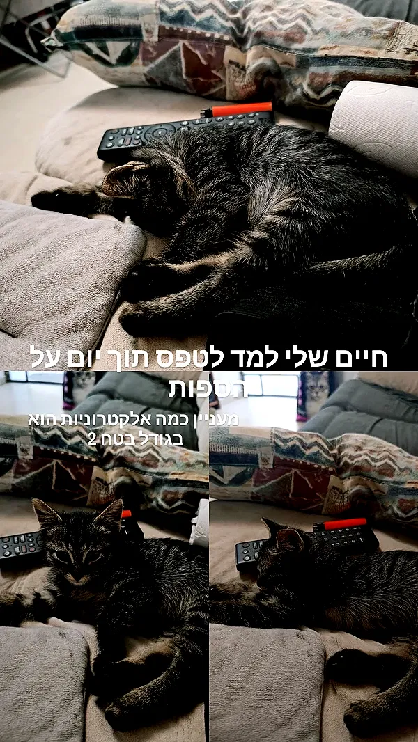 moonyyyya moonyyyya archive image