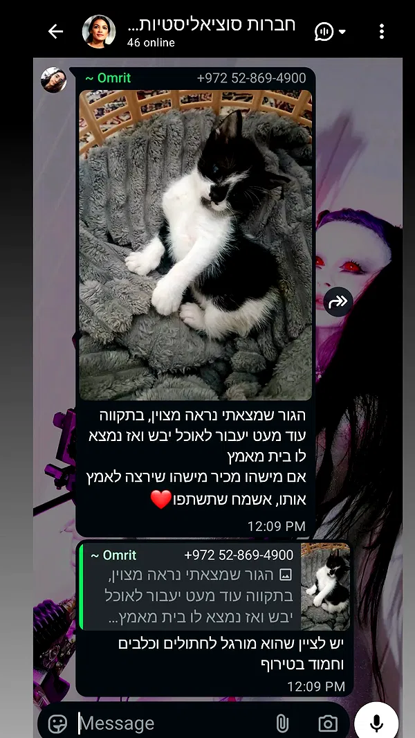 moonyyyya moonyyyya archive image