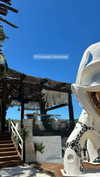 mt.sophia Altpins Profile Picture