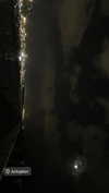 n3m4la_ Altpins Profile Picture